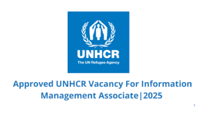 Approved UNHCR Vacancy For Information Management Associate
